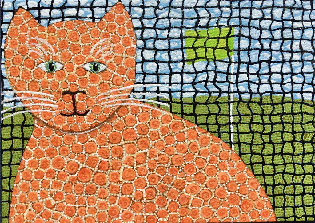 Cat and Safety Net